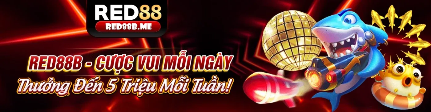 Cá cược có trách nhiệm và hỗ trợ người chơi