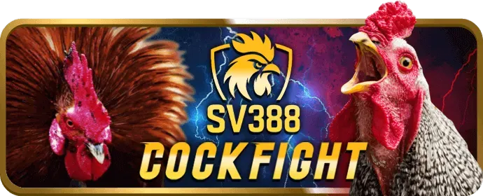 Đa Dạng Môn Thể Thao tại 78wim win